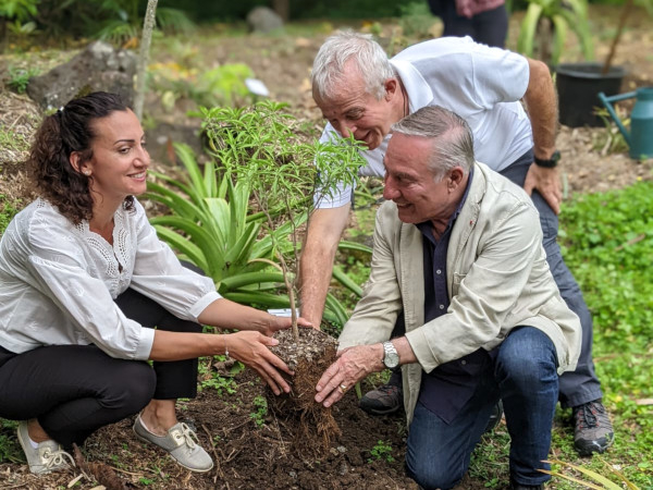 Allain Bougrain Dubourg plante un arbre endémique de La Réunion au Mascarin © Camille Fahrner / SEOR